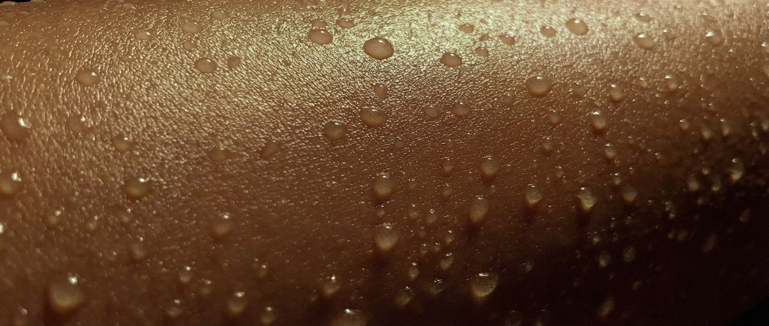 Enhancers and Stimulants