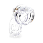 The Curve Male Chastity Device