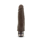 Dr. Skin Vibe 14 Realistic 8 in. Vibrating Dildo Brown