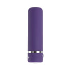 Evolved Purple Passion Rechargeable Petite Bullet Vibrator