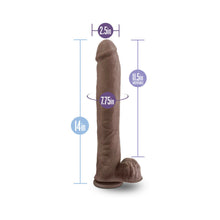 Au Naturel Daddy 14 in. Posable Dual Density Dildo with Balls Brown