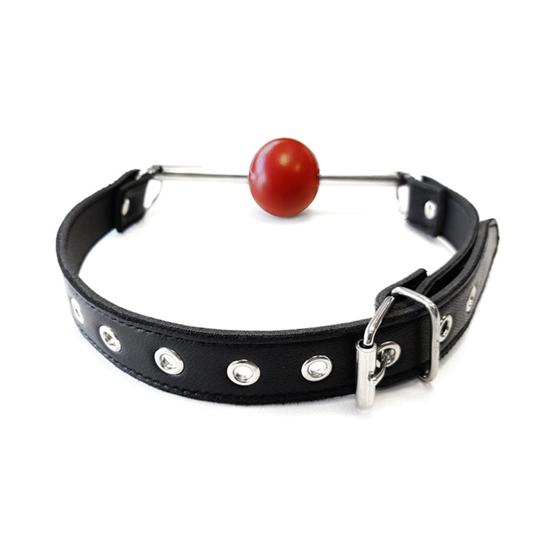 Rouge Leather Ball Gag with Removable Ball and Stainless Steel Rod Black/Red