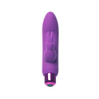 Powerbullet Alice''s Bunny Rechargeable Bullet Vibrator with Silicone Rabbit Sleeve Purple