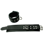 Wrist Restraints D Ring