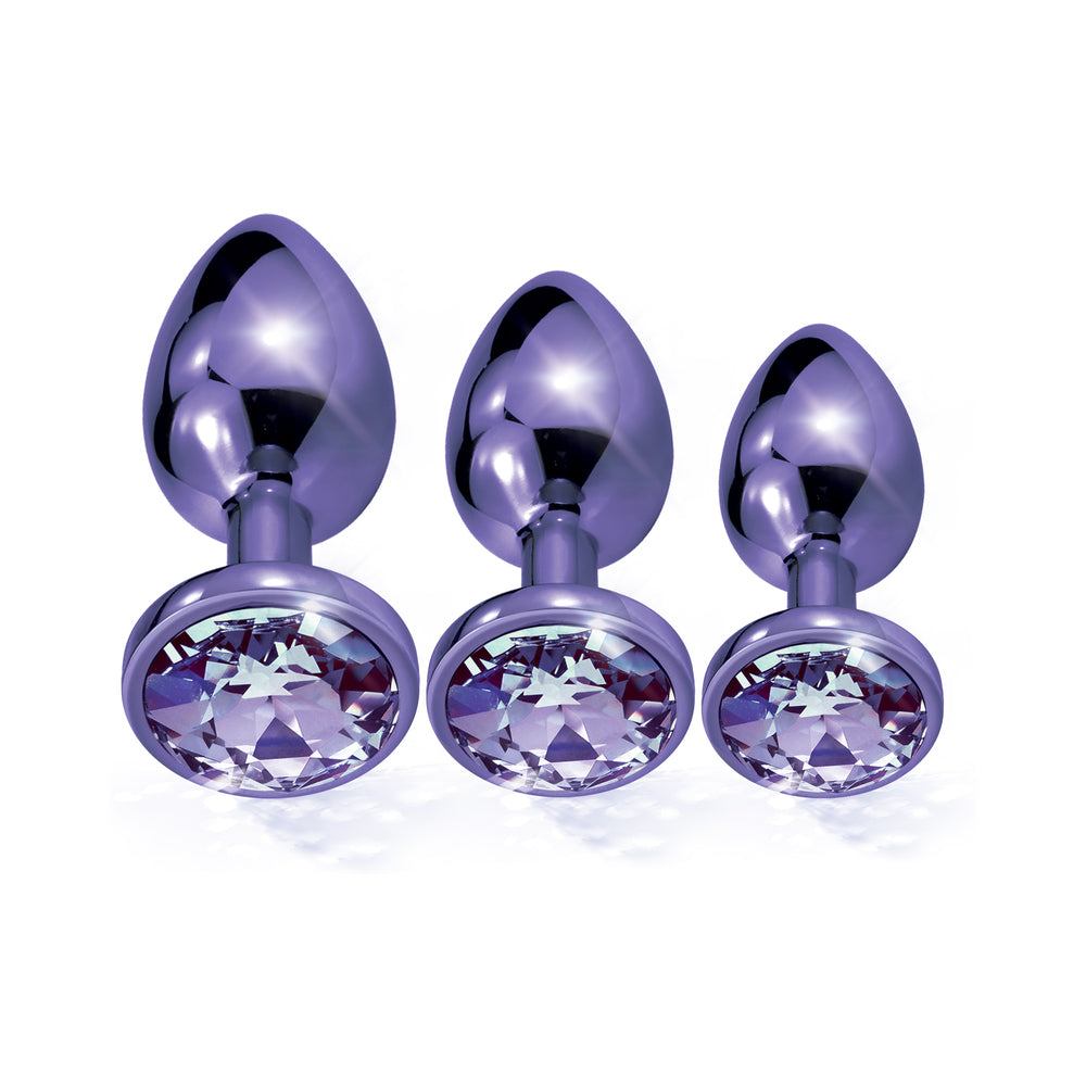 Nixie Metal Butt PlugÂ TrainerÂ Set 3-Piece Purple Metallic