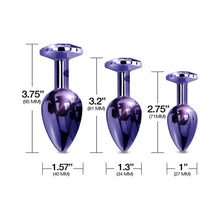 Nixie Metal Butt PlugÂ TrainerÂ Set 3-Piece Purple Metallic