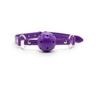 Ple''sur 12-Piece Everything Bondage Kit Purple