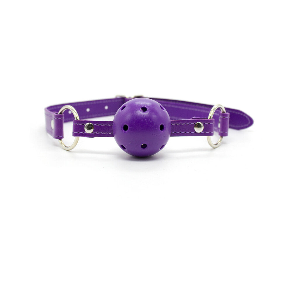 Ple''sur 12-Piece Everything Bondage Kit Purple