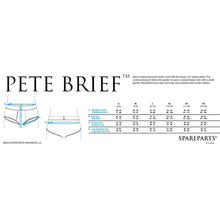 SpareParts Pete Briefs Nylon Packing Underwear Black Size 3XL