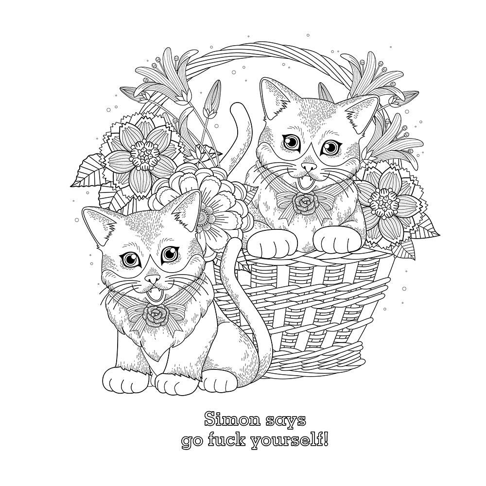 The Swear Word Coloring Book