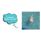 Wet Pussies: Hilarious Snaps of Damp Cats