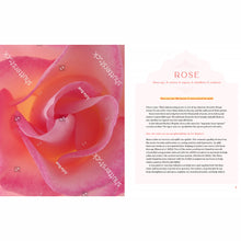 Aphrodisiac: The Herbal Path to Healthy Sexual Fulfillment and Vital Living