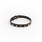 Hustler Taboo Medusa Collar Black