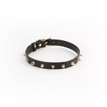 Hustler Taboo Medusa Collar Black