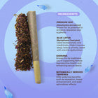 NUUD NUUDIES Pre-Rolled Sex Joints Single Blue Lotus 12-Piece Display