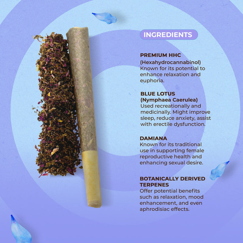 NUUD NUUDIES Pre-Rolled Sex Joints Single Blue Lotus 12-Piece Display