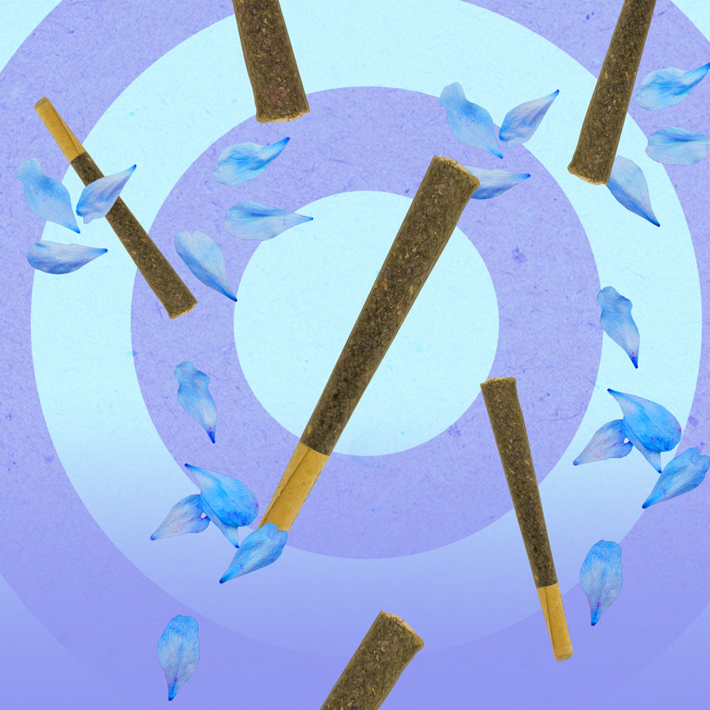 NUUD NUUDIES Pre-Rolled Sex Joints Single Blue Lotus 12-Piece Display