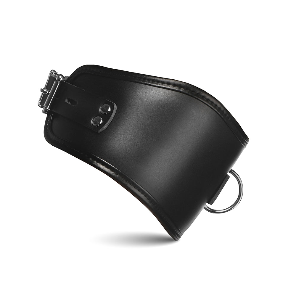 Master Series Hard Stance Padded Locking Posture Collar