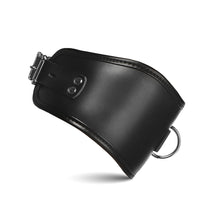 Master Series Hard Stance Padded Locking Posture Collar