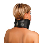 Master Series Hard Stance Padded Locking Posture Collar