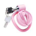 Master Series Vulva Locking Chastity Cage
