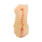 Hentai Stroker Kamiko Schoolgirl