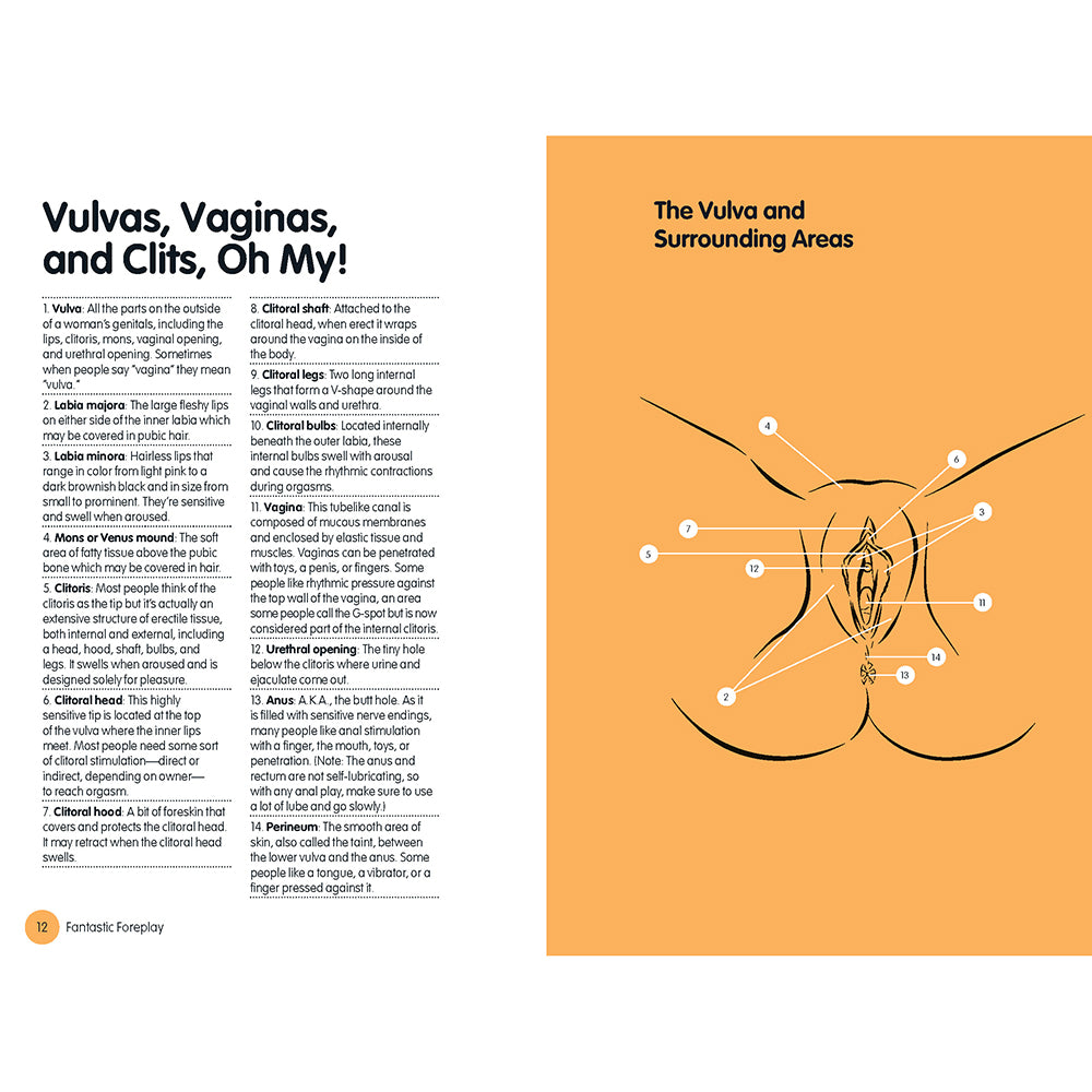 Fantastic Foreplay:Â 60 Sexy Ideas