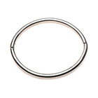 Master Series Possession Stainless Steel Locking Collar S