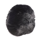 Tailz Snap-On Interchangeable Bunny Tail Black (Plug not included)