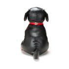 Prowler RED Captain Chains L