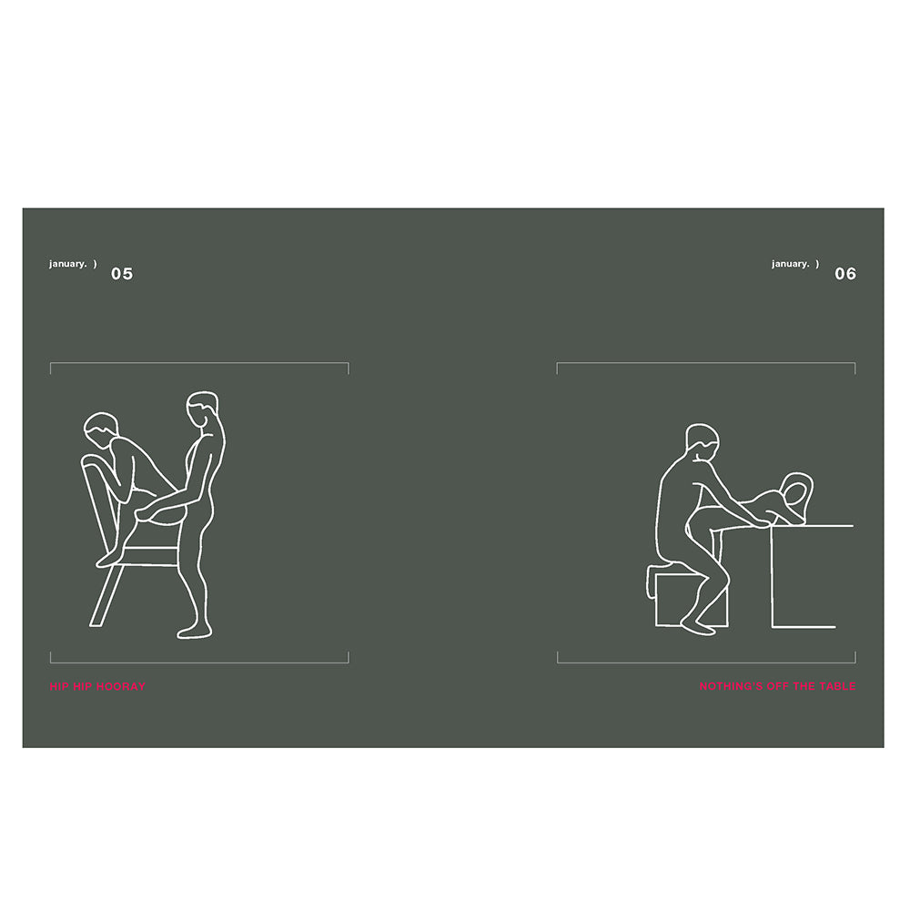 Position of the Day Revised and Updated:Â Sex Every Day in Every WayÂ
