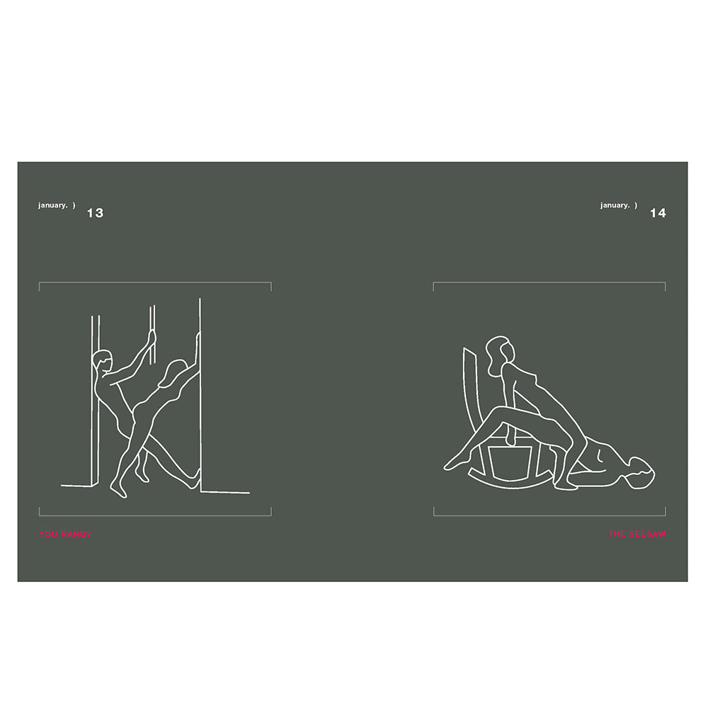 Position of the Day Revised and Updated:Â Sex Every Day in Every WayÂ