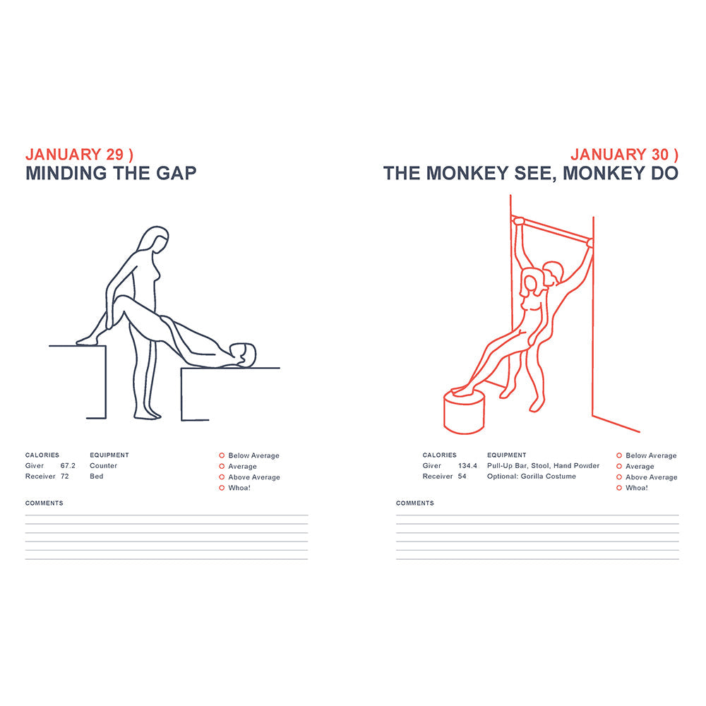 Position of the Day Playbook Revised and Updated:Â Sex Every Day in Every WayÂ