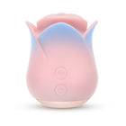 Blush Collection Kissing Rose Pink