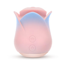 Blush Collection Kissing Rose Pink