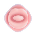 Blush Collection Kissing Rose Pink