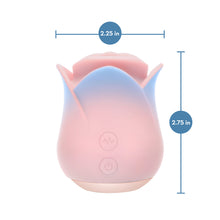 Blush Collection Kissing Rose Pink