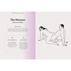 The Sex Position Playbook:Â 69 Positions for Incredible Pleasure