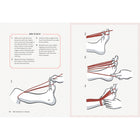 The Bondage Playbook:Â 31 Must-Know Knots and Ties for Bondage Beginners