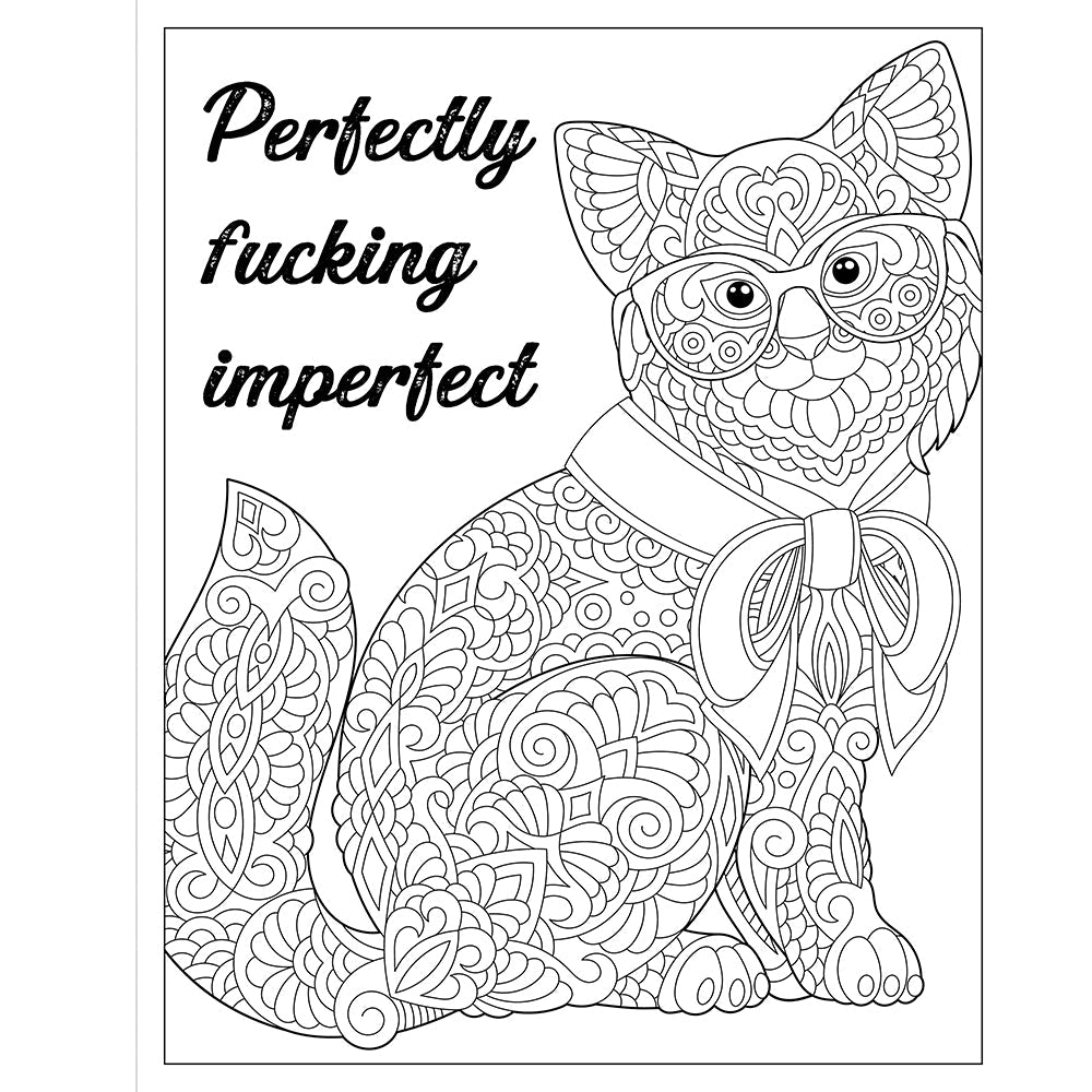 F*cking Fantastic:Â A Colossal Kick-Ass Coloring Book