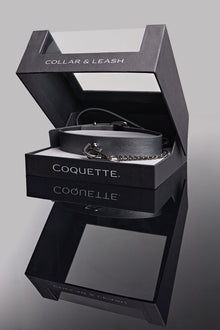Coquette Pleasure Collar & Leash Grey