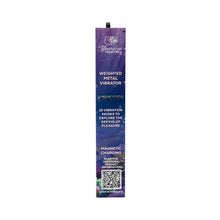 Hidden Treasure Metal Vibrator