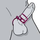 Enhancer Quad Cockring Rubine Red