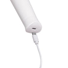 Le Wand Classique Petite Wand Massager