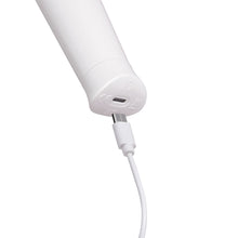 Le Wand Classique Petite Wand Massager