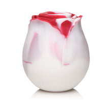 Bloomgasm The Rose Lover''s Gift Box Swirl