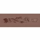 Xkin Raw The Grip Stroker Brown