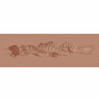 Xkin Raw The Grip Stroker Tan