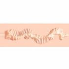 Xkin Raw Pure Stretch Stroker Beige
