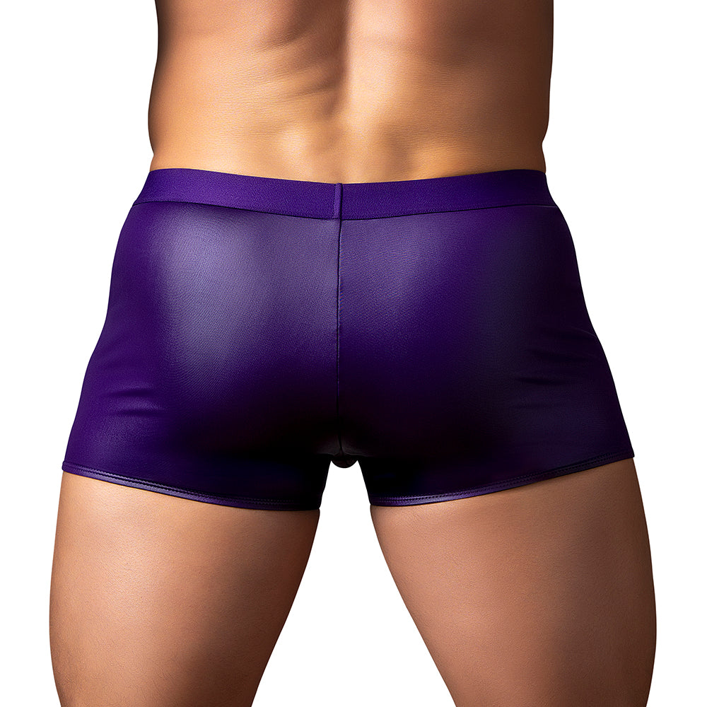Male Power Eggplant Crossover Short Plum S